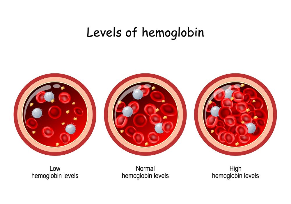 Hemoglobin