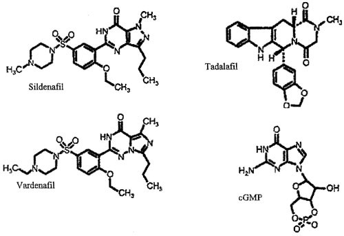 PDE-5 Inhibitors 