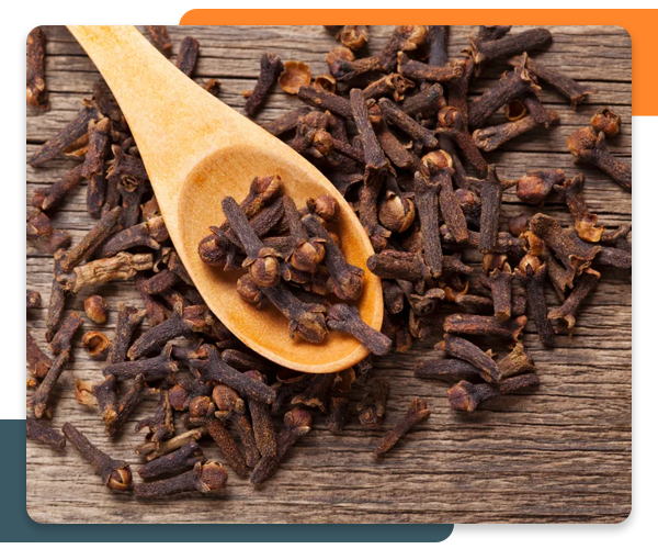 Cloves