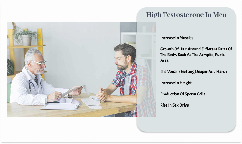 High Testosterone
